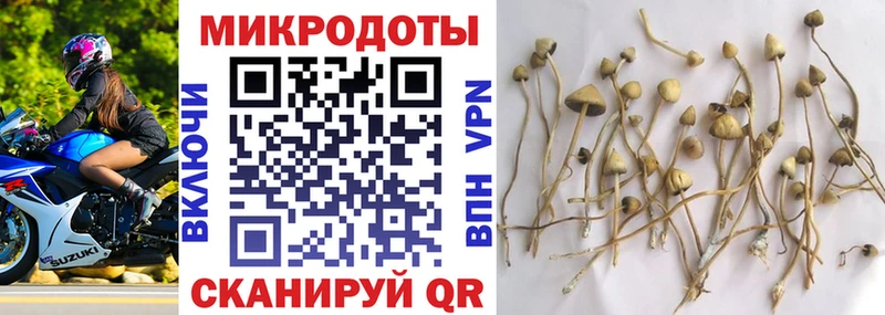 Псилоцибиновые грибы Magic Shrooms  наркошоп  Усть-Лабинск 